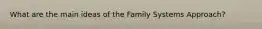 What are the main ideas of the Family Systems Approach?