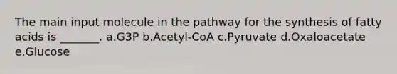 The main input molecule in the pathway for the synthesis of fatty acids is _______. a.G3P b.Acetyl-CoA c.Pyruvate d.Oxaloacetate e.Glucose