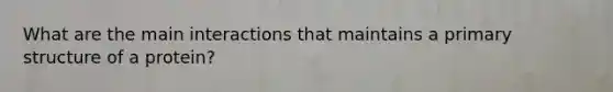 What are the main interactions that maintains a primary structure of a protein?
