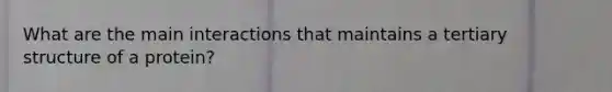 What are the main interactions that maintains a <a href='https://www.questionai.com/knowledge/kf06vGllnT-tertiary-structure' class='anchor-knowledge'>tertiary structure</a> of a protein?