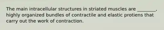 The main intracellular structures in striated muscles are ________, highly organized bundles of contractile and elastic protiens that carry out the work of contraction.