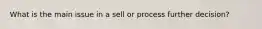 What is the main issue in a sell or process further decision?