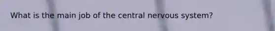 What is the main job of the central nervous system?