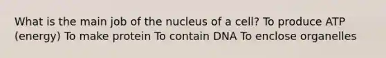 What is the main job of the nucleus of a cell? To produce ATP (energy) To make protein To contain DNA To enclose organelles