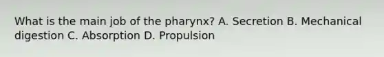 What is the main job of the pharynx? A. Secretion B. Mechanical digestion C. Absorption D. Propulsion