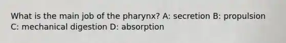 What is the main job of the pharynx? A: secretion B: propulsion C: mechanical digestion D: absorption