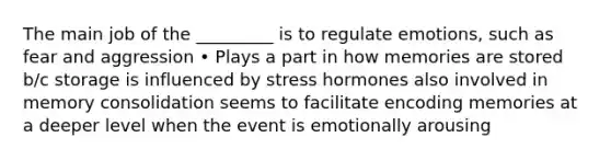 The main job of the _________ is to regulate emotions, such as fear and aggression • Plays a part in how memories are stored b/c storage is influenced by stress hormones also involved in memory consolidation seems to facilitate encoding memories at a deeper level when the event is emotionally arousing