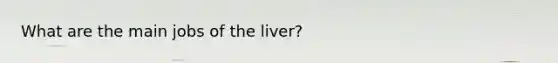 What are the main jobs of the liver?