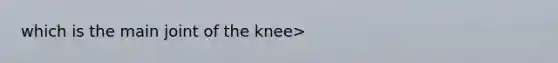 which is the main joint of the knee>