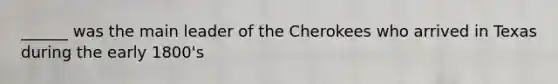 ______ was the main leader of the Cherokees who arrived in Texas during the early 1800's