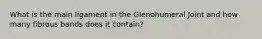 What is the main ligament in the Glenohumeral Joint and how many fibrous bands does it contain?