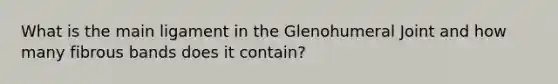 What is the main ligament in the Glenohumeral Joint and how many fibrous bands does it contain?