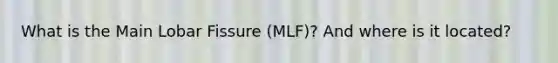 What is the Main Lobar Fissure (MLF)? And where is it located?