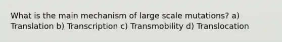 What is the main mechanism of large scale mutations? a) Translation b) Transcription c) Transmobility d) Translocation