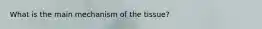 What is the main mechanism of the tissue?