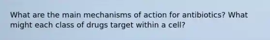 What are the main mechanisms of action for antibiotics? What might each class of drugs target within a cell?