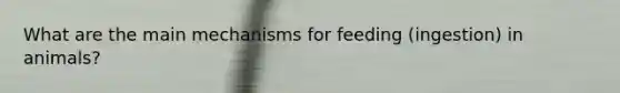 What are the main mechanisms for feeding (ingestion) in animals?