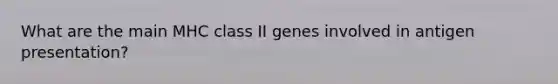 What are the main MHC class II genes involved in antigen presentation?