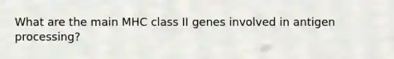 What are the main MHC class II genes involved in antigen processing?