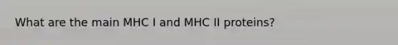 What are the main MHC I and MHC II proteins?