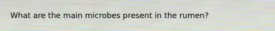 What are the main microbes present in the rumen?