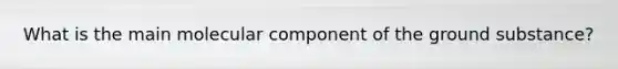 What is the main molecular component of the ground substance?