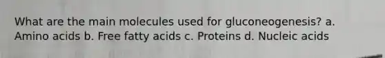 What are the main molecules used for gluconeogenesis? a. Amino acids b. Free fatty acids c. Proteins d. Nucleic acids