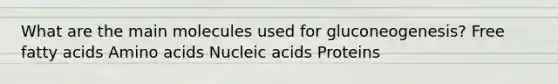 What are the main molecules used for gluconeogenesis? Free fatty acids Amino acids Nucleic acids Proteins