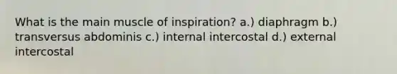 What is the main muscle of inspiration? a.) diaphragm b.) transversus abdominis c.) internal intercostal d.) external intercostal