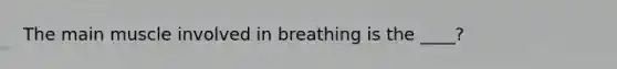 The main muscle involved in breathing is the ____?