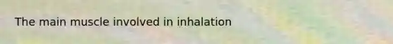 The main muscle involved in inhalation