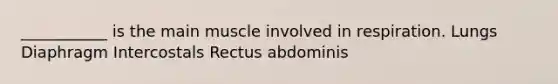 ___________ is the main muscle involved in respiration. Lungs Diaphragm Intercostals Rectus abdominis