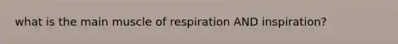 what is the main muscle of respiration AND inspiration?