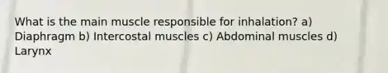 What is the main muscle responsible for inhalation? a) Diaphragm b) Intercostal muscles c) Abdominal muscles d) Larynx