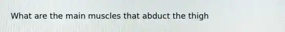 What are the main muscles that abduct the thigh