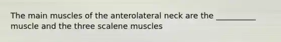 The main muscles of the anterolateral neck are the __________ muscle and the three scalene muscles