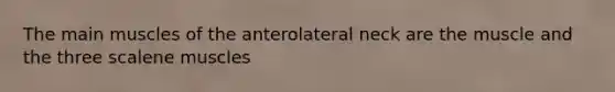 The main muscles of the anterolateral neck are the muscle and the three scalene muscles