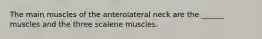 The main muscles of the anterolateral neck are the ______ muscles and the three scalene muscles.