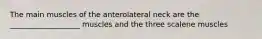 The main muscles of the anterolateral neck are the ___________________ muscles and the three scalene muscles