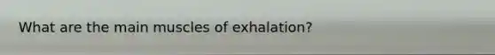 What are the main muscles of exhalation?