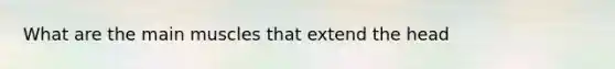 What are the main muscles that extend the head
