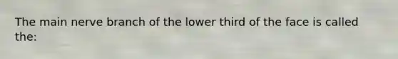 The main nerve branch of the lower third of the face is called the: