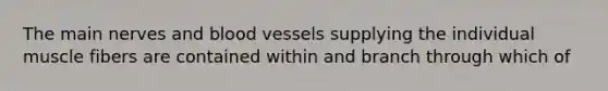 The main nerves and blood vessels supplying the individual muscle fibers are contained within and branch through which of