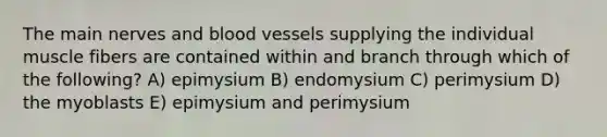 The main nerves and blood vessels supplying the individual muscle fibers are contained within and branch through which of the following? A) epimysium B) endomysium C) perimysium D) the myoblasts E) epimysium and perimysium