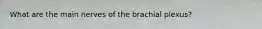 What are the main nerves of the brachial plexus?