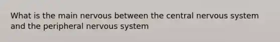 What is the main nervous between the central nervous system and the peripheral nervous system