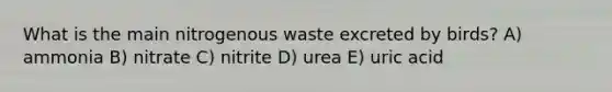 What is the main nitrogenous waste excreted by birds? A) ammonia B) nitrate C) nitrite D) urea E) uric acid