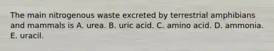 The main nitrogenous waste excreted by terrestrial amphibians and mammals is A. urea. B. uric acid. C. amino acid. D. ammonia. E. uracil.