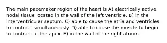 The main pacemaker region of the heart is A) electrically active nodal tissue located in the wall of the left ventricle. B) in the interventricular septum. C) able to cause the atria and ventricles to contract simultaneously. D) able to cause the muscle to begin to contract at the apex. E) in the wall of the right atrium.