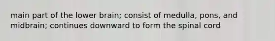 main part of the lower brain; consist of medulla, pons, and midbrain; continues downward to form the spinal cord